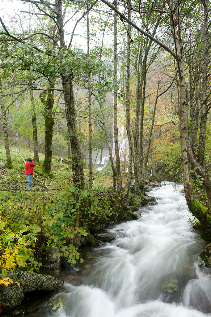 Faillitoux, Cantal.